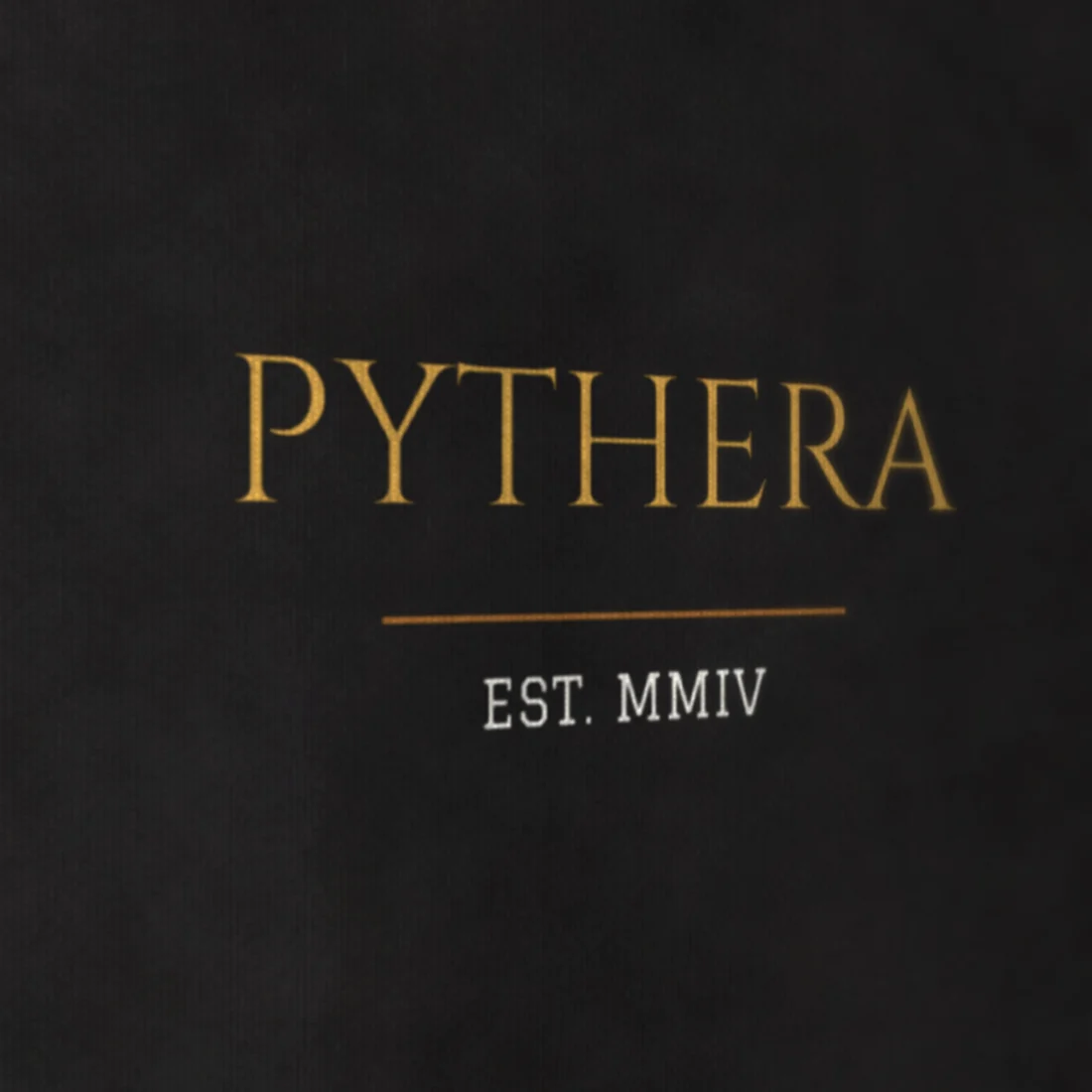 Camiseta Pythera, estampa de lado